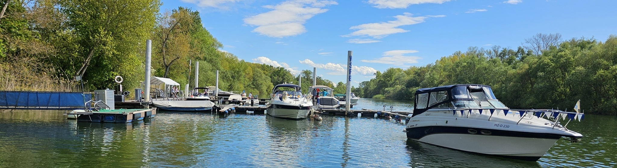 Bootssteg und Hafenanlage des WSF Bleiau auf der Insel Bleiau am Rhein
