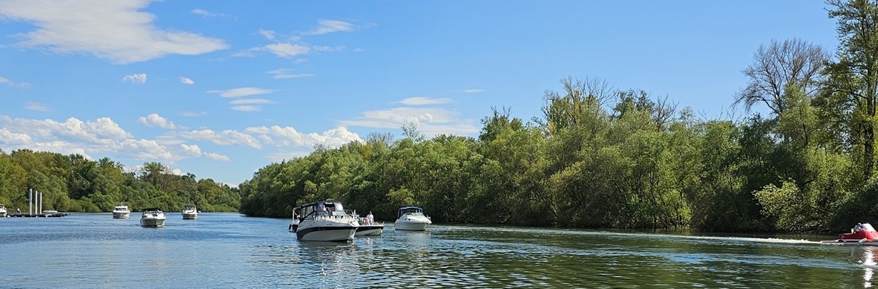 Bootssteg des WSF Bleiau mit Liegeplätzen für Motor- und Freizeitboote am Rhein